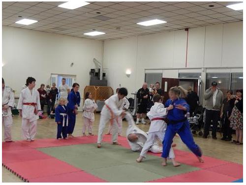 Randori with Gemma and Sam photo