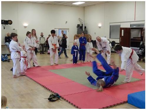 Randori with Gemma and Sam photo